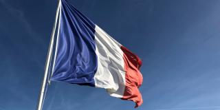 Volt France - Élections Législatives