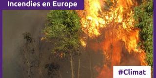 Volt France - Incendies en Europe