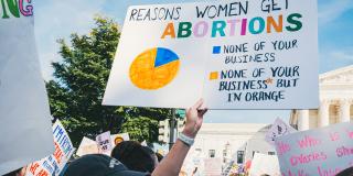 Person holds a sign at an abortion rights protest. Sign says "Reasons women get abortions", there is a pie chart and the legend for the pie chart is blue: none of your business, orange: none of your business but in orange