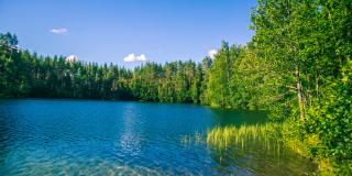 Lake sourrounded by trees and blue sky