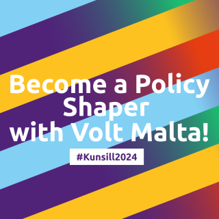 policy shaper Volt Malta