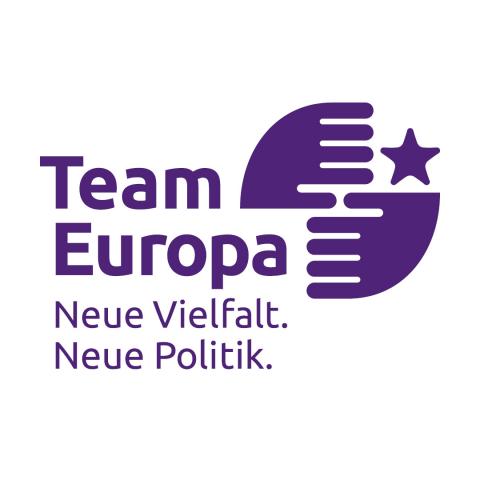 Team Europa banner for homepage of Volt Germany