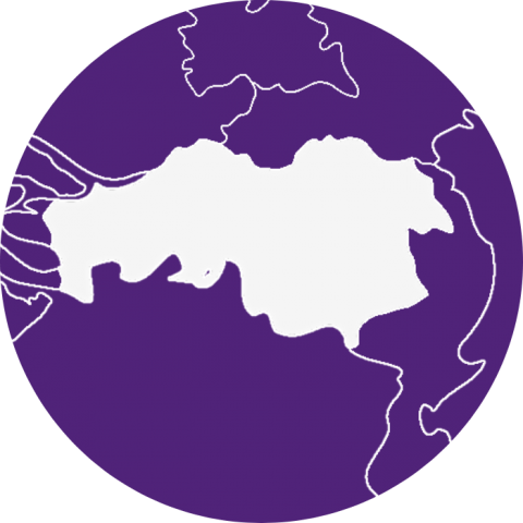 Volt Brabant Globe