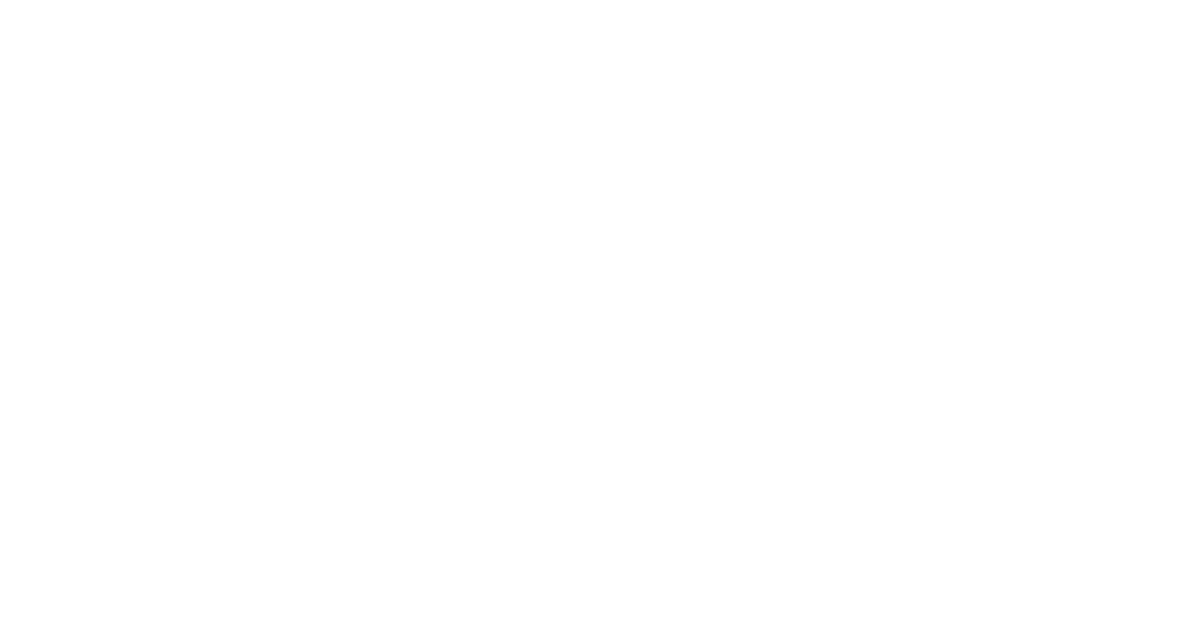 Volt - Zukunft made in Europe