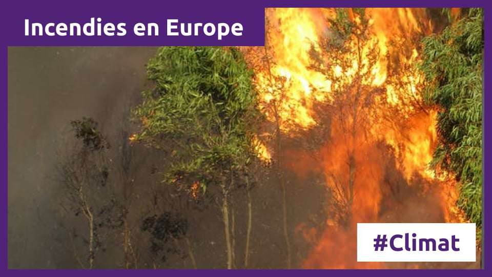 Volt France - Incendies en Europe