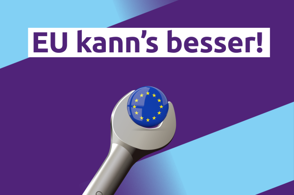 Bild eines Schraubschlüssels, der die EU-Flagge umfasst und dem Text &quot;EU kann